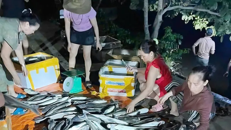 Miền Trung: Người nuôi trồng thủy sản trắng tay sau lũ