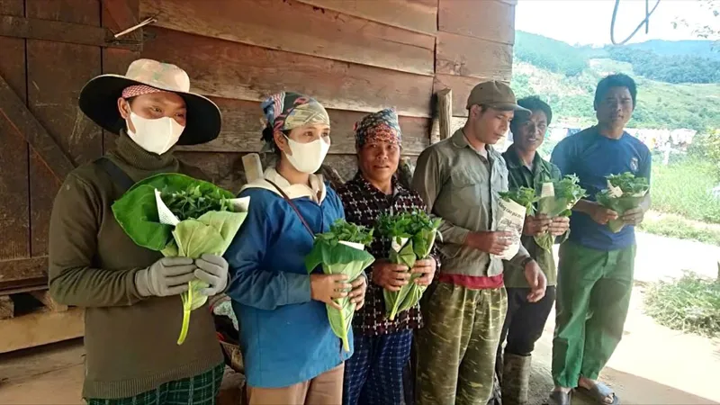 Đề nghị khoanh nợ, gia hạn nợ cho hộ nghèo có vườn sâm bị bão tàn phá
