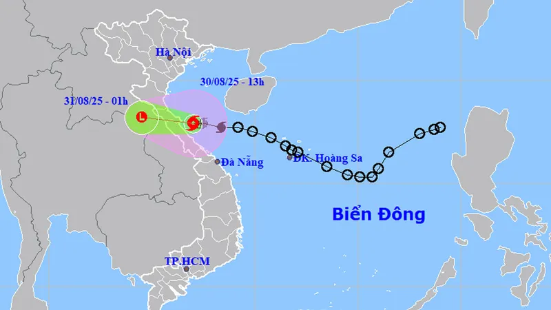 Tập trung ứng phó bão số 6