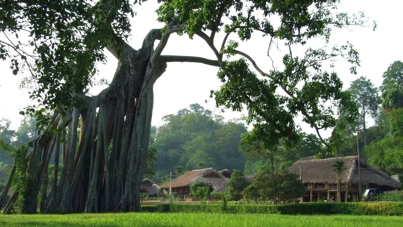 Về Tân Trào trong mùa cờ bay