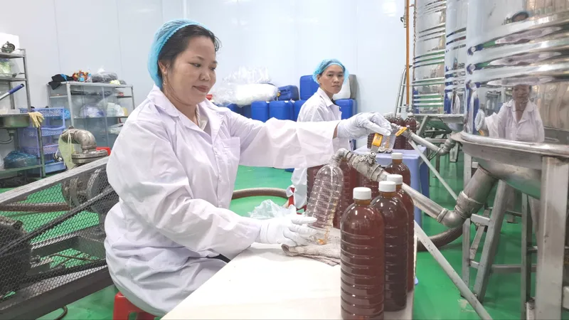 Tỷ phú ong mật ở vùng ven TPHCM