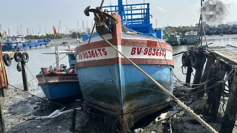 Tàu cá không đủ điều kiện 