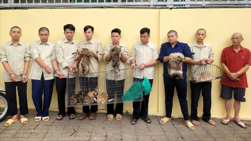 Khởi tố, bắt tạm giam nhóm chuyên trộm mèo quy mô lớn tại xã Đông Thạnh
