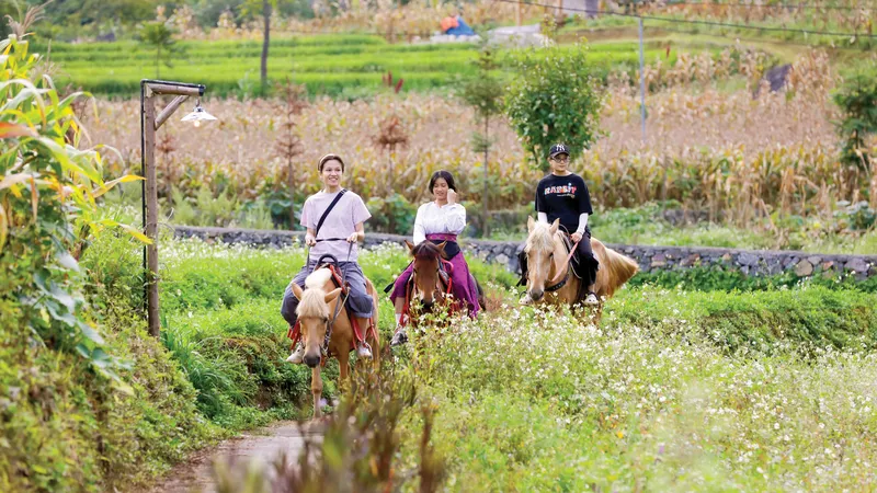 Rong ruổi cực Bắc