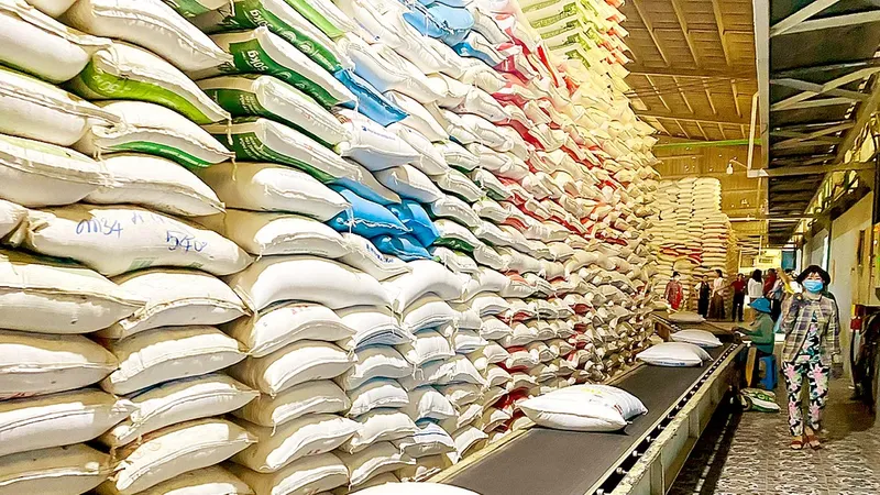 Nguồn cung lúa gạo tăng mạnh, nhu cầu nhập khẩu chững lại