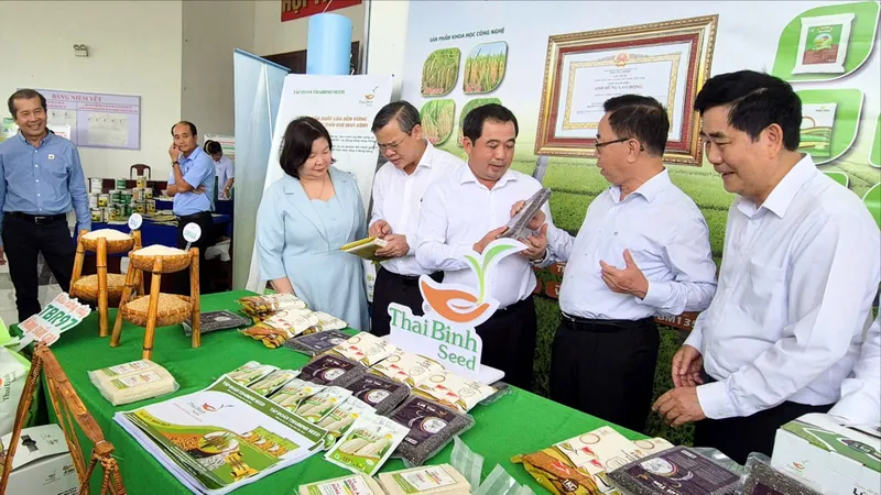 Đề án 1 triệu ha lúa chất lượng cao, diện tích đạt 200% kế hoạch 