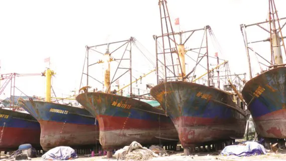 19 chủ tàu vỏ thép bị hư hỏng yêu cầu bồi thường hơn 36 tỷ đồng
