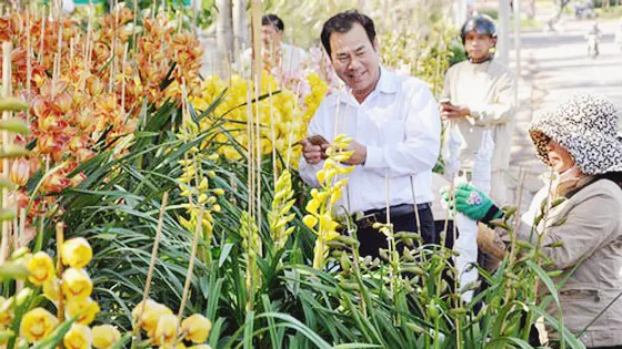 Đa dạng chủng loại hoa phục vụ tết