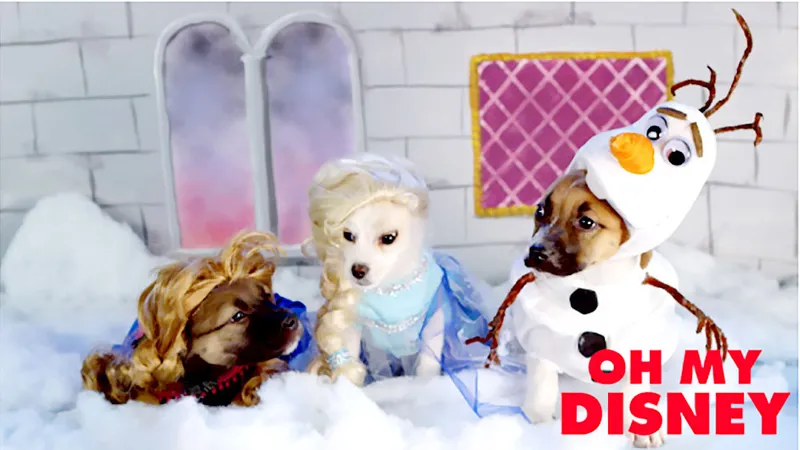 Disney ra mắt ứng dụng video mới 