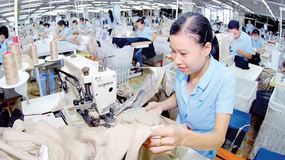 Tận dụng tốt cơ hội từ các nước nội khối CPTPP