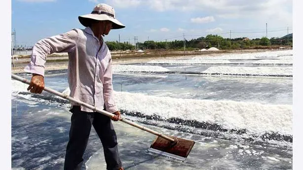 Hoang phế dự án kho dự trữ muối 