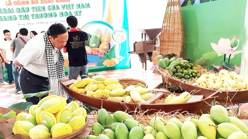 Tín hiệu vui cho địa phương thế mạnh về xoài