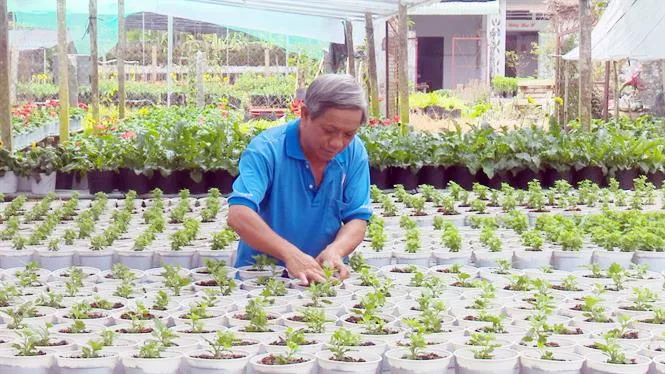 76% hội viên trang trại khá và giàu