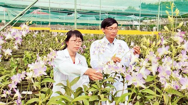 Nghiên cứu thành công nhiều giống rau, hoa, vaccine mới