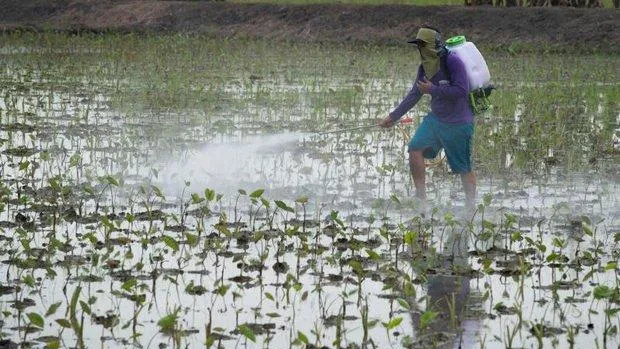 Thái Lan ngừng cấp phép hóa chất nông nghiệp nguy hiểm