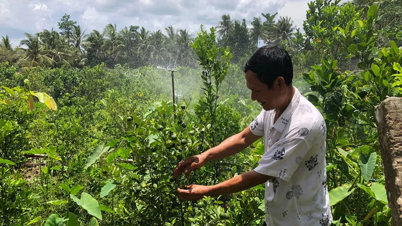 ĐBSCL đối mặt xâm nhập mặn gia tăng