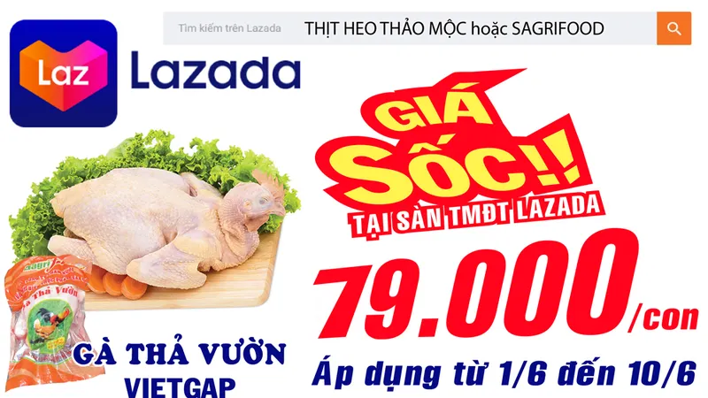 Gà thả vườn VietGAP 79.000 đ/con tại sàn TMĐT LAZADA từ ngày 1-6 đến 10-6
