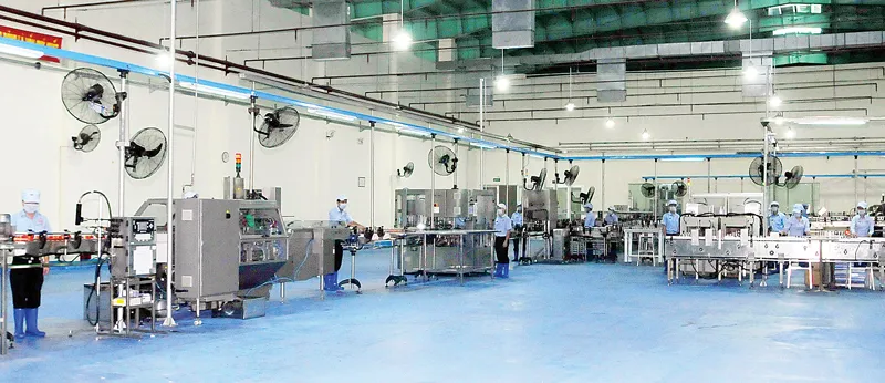 Dây chuyền sản xuất nước Yến sào cao cấp Sanest công nghệ châu Âu