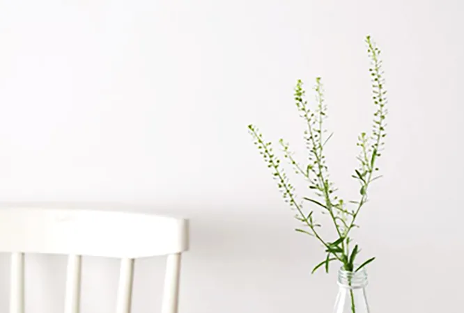 Sản phẩm sữa 3 Con Dê mang đến nguồn dinh dưỡng tốt nhất cho người tiêu dùng