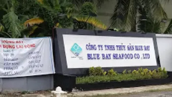 Gây ô nhiễm môi trường, một công ty bị phạt hơn 1,1 tỷ đồng