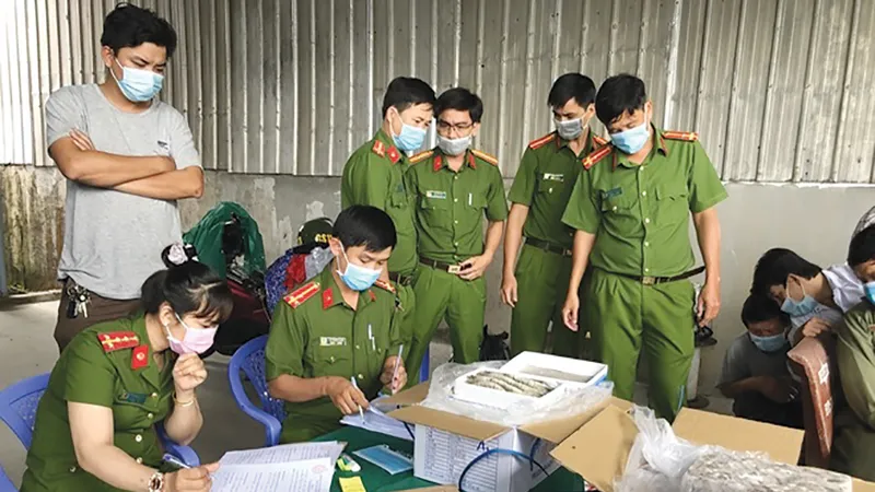 Lực lượng chức năng xử lý vụ tôm sử dụng tạp chất ở Cà Mau