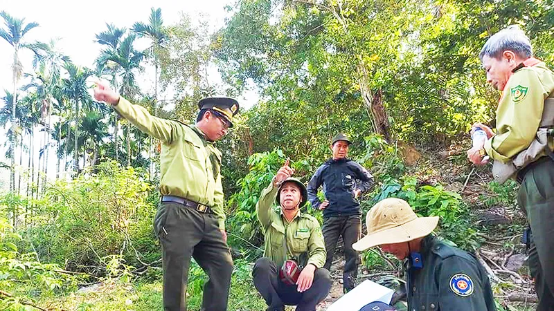 Lực lượng bảo vệ rừng liên tỉnh đang tuần tra, khảo sát rừng ở vùng giáp ranh ngã ba Quảng Ngãi - Kon Tum - Quảng Nam (ảnh chụp trước khi dịch Covid-19 bùng phát). Ảnh: XUÂN HUYÊN