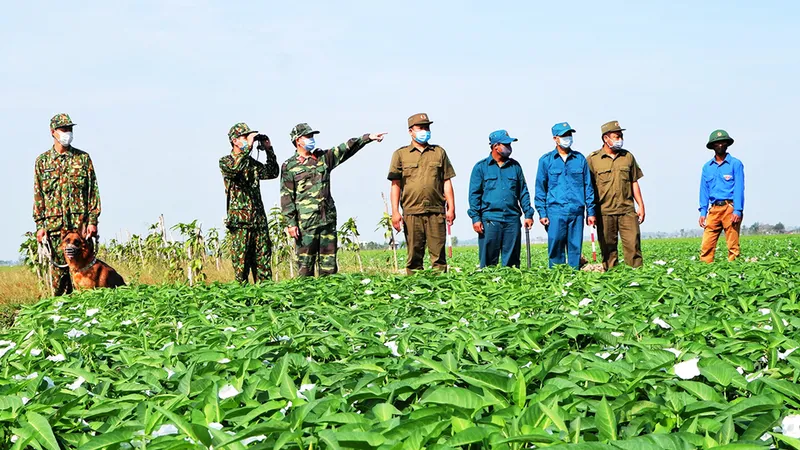 Lực lượng chức năng ở An Giang tăng cường tuần tra biên giới, quyết giữ “vùng xanh” an toàn