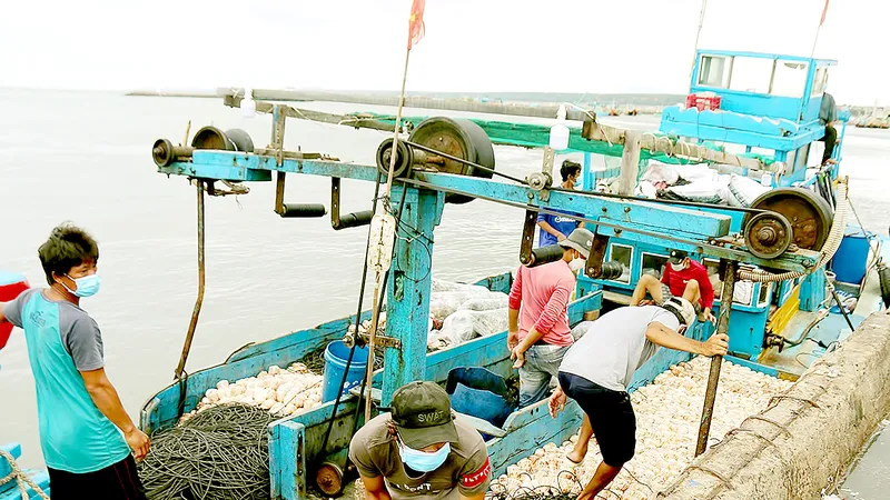 Ngư dân Bình Thuận hối hả chuẩn bị ngư cụ, nhu yếu phẩm để ra khơi đánh bắt hải sản vụ tết