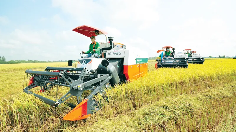 Để Cánh đồng lớn thật sự lớn - Bài 1: Khởi động rầm rộ, nhưng teo tóp dần