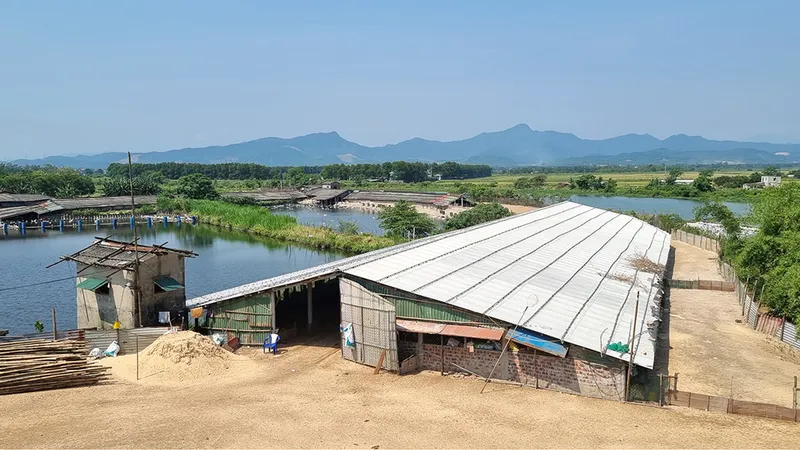 Đê lấn chiếm sông Lũy Thầy khiến 2/3 dòng sông bị chặn