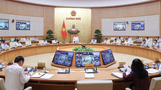 Ứng phó với những rủi ro bất định
