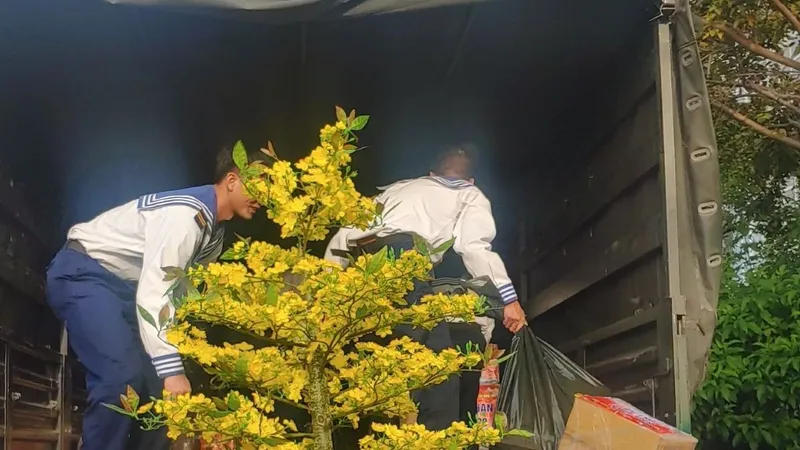 Các chiến sĩ Hải quân chuyển chậu hoa mai xuống cảng để gửi ra nhà giàn