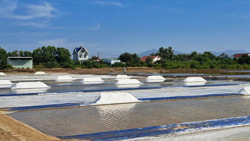 Muối mặn Long Sơn