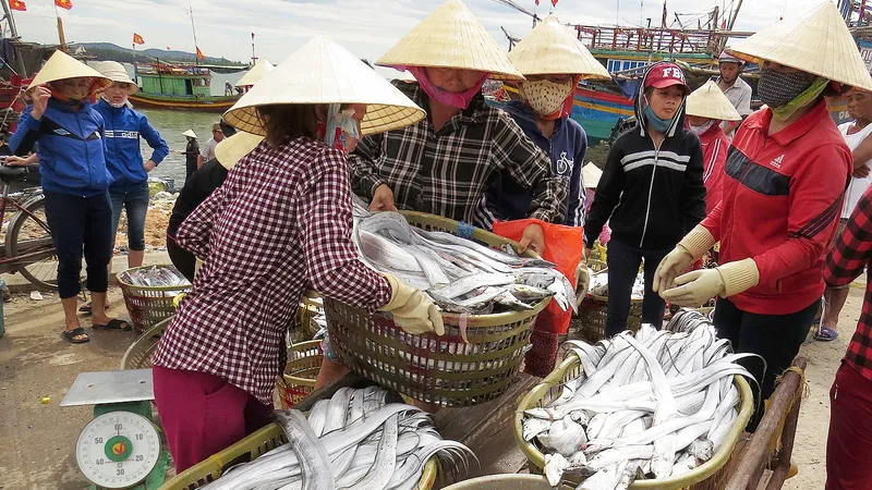 Nghề đánh bắt cá hố ở làng Cảnh Dương duy trì gần 400 năm qua