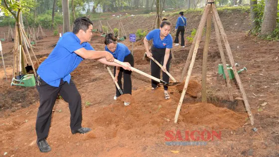 Vườn cây quà tặng