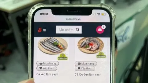 Hơn 15.000 sản phẩm Việt đã lên hệ thống bán hàng của Co.op Online