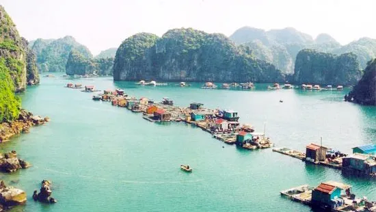 Hoàn thiện hồ sơ đề cử “Vịnh Hạ Long - Quần đảo Cát Bà” ghi danh Di sản thế giới
