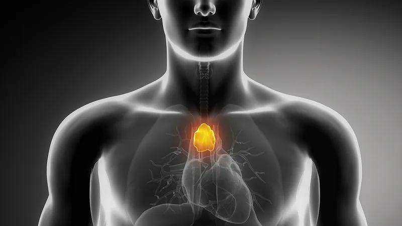 Tuyến ức có liên quan đến việc bảo vệ cơ thể con người khỏi bệnh ung thư