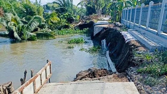 Hậu Giang kiến nghị Trung ương hỗ trợ kinh phí xây dựng nhiều dự án chống sạt lở
