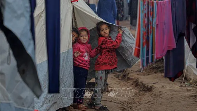 Xung đột Hamas – Israel: Cơ quan cứu trợ LHQ tại Dải Gaza gần như tê liệt vì hết nhiên liệu