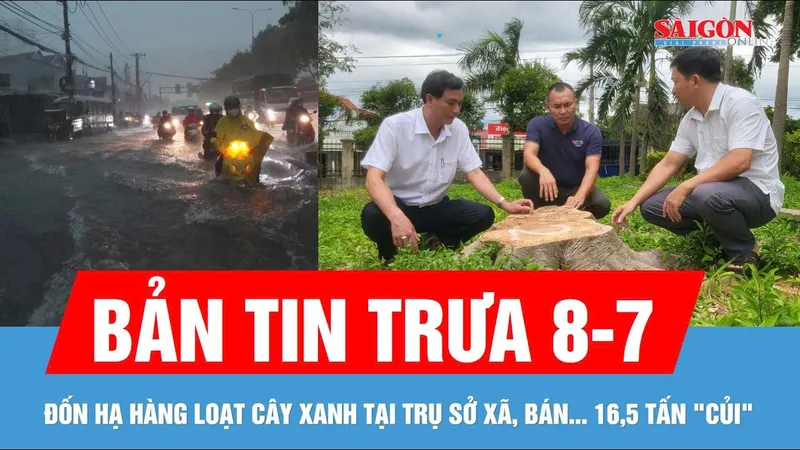 Bản tin trưa 8-7: Cảnh báo mưa dông ở Nam bộ | Đốn hạ cây xanh tại trụ sở xã, bán... 16,5 tấn "củi"