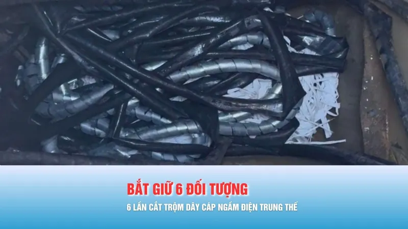 Podcast bản tin tối 25-1: Bắt nhóm đối tượng 6 lần cắt trộm dây cáp ngầm điện trung thế