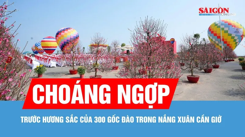 Người dân TPHCM hào hứng “check-in” với 300 gốc đào Bắc trong nắng xuân Cần Giờ