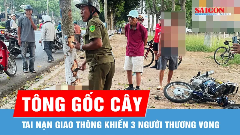 Đắk Lắk: Xe máy chở 3 tông vào gốc cây, 2 người tử vong