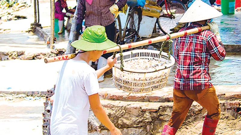 Mưu sinh bến cá trưa