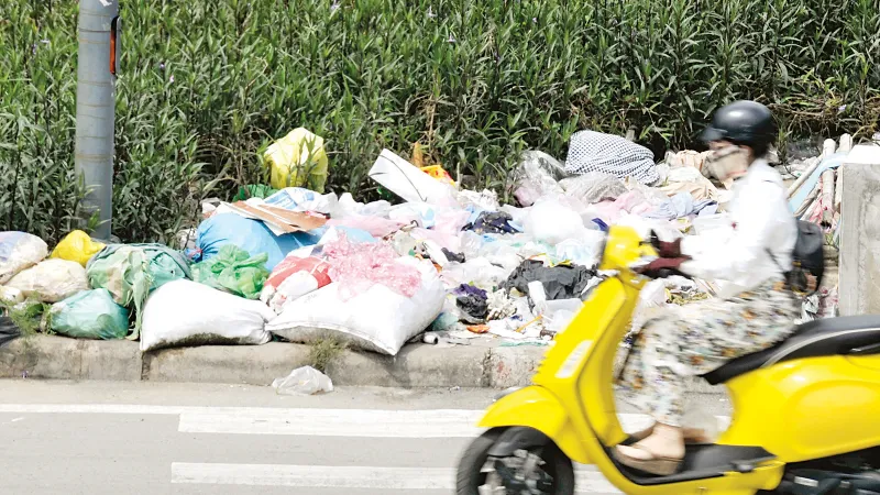 Rác thải làm bẩn môi trường sống