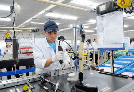 60 doanh nghiệp Belarus tìm cơ hội hợp tác đầu tư tại TPHCM