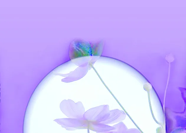 Riêng gửi Cửu Long