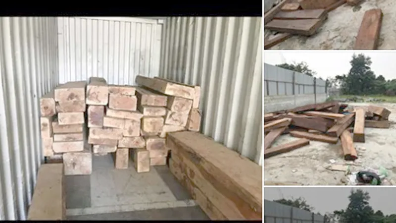 Ngang nhiên mua bán trái phép gỗ quý hiếm
