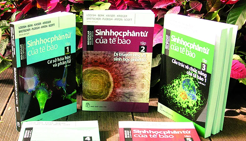 10 năm và một bộ sách